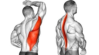 These 5 Exercises Will Improve Your Posture