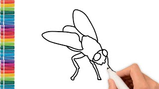 How to draw a fly for kids. Insects