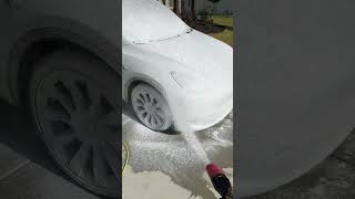 SATISFYING Tesla Wash #carcare #mobiledetail #carwash #detailing #teslawash #washingtesla