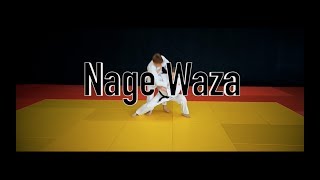 Nage Waza / Приемы в борьбе в стойке