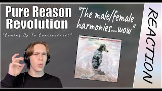 Steven Wilson Would Be Proud - Pure Reason Revolution: Coming Up To Consciousness REACTION