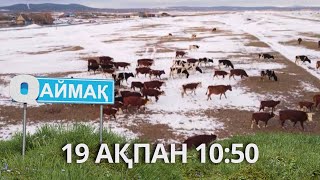 Qаймақ: 19 ақпан 10:50