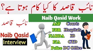 naib qasid ka kam kya hota hy || naib qasid work || naib qasid duty