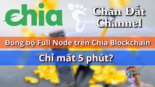 Đào #Chiacoin ✅15: Đồng bộ Full Node trên Chia Blockchain chỉ mất 5 phút