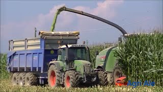 Chopping Corn 2016. Fendt Katana 65, 820, 415, John Deere 6810