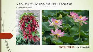 VAMOS CONVERSAR SOBRE PLANTAS? ( BORDADURAS - Módulo 05)