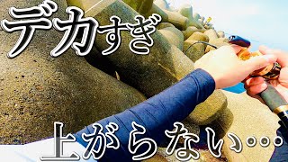 【穴釣り】重量感が凄すぎる化け物が来ました