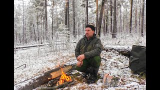 Поиск пропавших собак. Охота на глухаря с лайками.