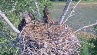 Kansas Eagles 5-24-24.  Double Delight Breakfast Fish; + a Steal & a Stumble. 😳🙏🏻