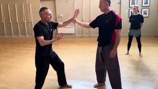 Chen Pan Ling Taijiquan - Play the Lute applications