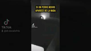 Si un Perro Negro Aparece de la Nada #miedo #miedoyterror