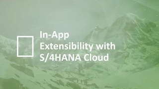 S/4HANA Cloud In App Extensibility