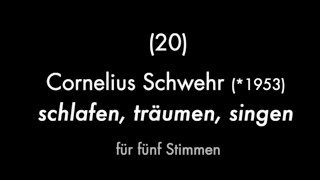 Aus der 'offenen Anstalt' : Prinzhorn neu (20/22) - C. Schwehr, "schlafen,  träumen, singen" (2001)