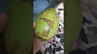 Fresh coconut