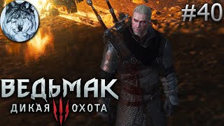 Ведьмак 3: Дикая Охота (PC). Part 40/46. DLC: Кровь и вино. Полное прохождение. Longplay. Игры 2010х