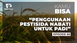 KAMU BISA Episode 66 "Penggunaan Pestisida Nabati Untuk Tanaman Padi"