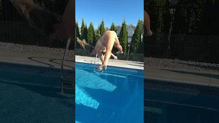 Crazy Funny Dance Moves and High SPLITS DIVE into the Swimming Pool #shorts