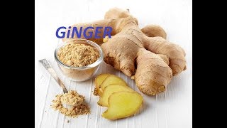 Bu yöntem ile çok kolay  GiNGER ( Zencefil ) yetiştireceksiniz.