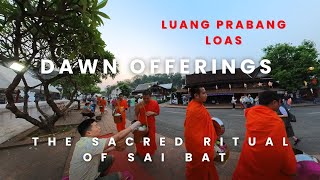 Morning Alms: A Journey Through the Spiritual Heart of Luang Prabang Laos