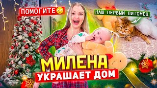 Мы Завели ОСОБЕННОГО КОТА 🐈 Украшаем с Миленой Квартиру к НОВОМУ ГОДУ 😵‍💫 *плохая идея 😂*