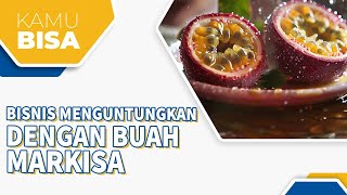 Peluang Bisnis Menguntungkan dengan Buah Markisa