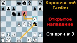 Королевский Гамбит за белых| Сила открытого нападения в действии| Спидран