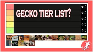 Gecko Tier List [Sorry Tokay Gecko Lovers]