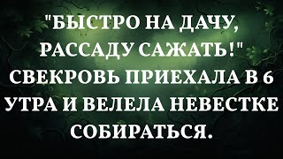 "Быстро на дачу, рассаду сажать!" Свекровь приехала в 6 утра и велела невестке собираться.