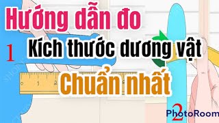 Hướng dẫn đo kích thước dương vật chuẩn nhất | Quynh Trang TLA