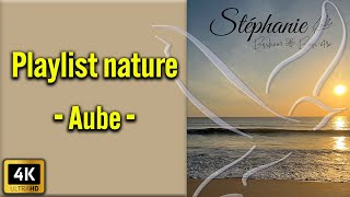 La Playlist nature Aube - Les plus belles mélodies relaxantes accompagnées de sons de la nature