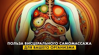 Польза висцерального самомассажа для вашего организма