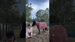 Training an ABUSED rescue pony 😥🥺 Using positive reinforcement & clicker training 😍