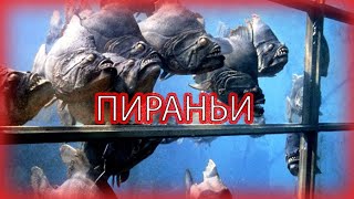 Пираньи / Piranha 1978 Смотреть фильм онлайн в хорошем качестве! Слабонервным не смотреть ! 12+