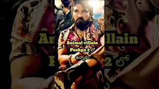 Animal Movie villain పుష్ప 2 లో ఉన్నాడా 😱🥵 | Pushpa 2 | Allu Arjun | Sukumar | Fahadh Faasil | DSP