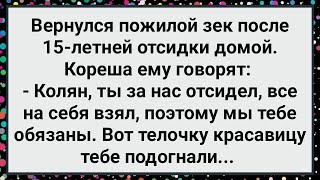 Как Кореша Зеку Красавицу Подогнали! Сборник Свежих Смешных Жизненных Анекдотов!