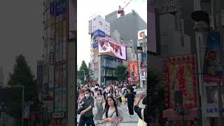 Gatinho de Shinjuku