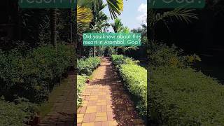 Grand Vatika Resort Arambol Goa | Goa Resort | Arambol Goa #shorts #ytshorts #travel #goa #goatravel