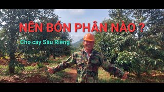 NÊN BÓN PHÂN NÀO CHO CÂY SẦU RIÊNG