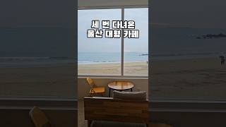 세번이나 다녀온 울산 대형 카페 추천