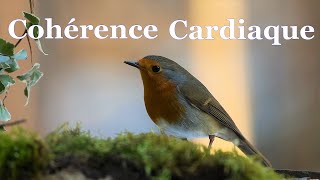 💖 Coherence cardiaque exercices 35 Bis