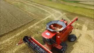 Chorum Grain Farms Wheat Harvest 2016 Case IH 8240 and 2588 Combines - DJI Phantom 3 Footage