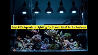 Top 3 Best LED Aquarium Lighting for Corals, Reef Tanks Reviews in 2019