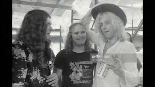 Lynyrd Skynyrd "Searching"