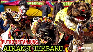 BURUNG GARUDA MACANAN KUCINGAN|ATRAKSI TERBARU!!SAK NDADINE|PUTRO SRITANJUNG|LIVE TEMBOKREJO MUNCAR