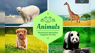 Animals. English Doman cards - Kids vocabulary - Learn English for kids -Английский карточки Домана