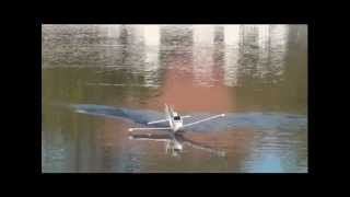 SlowBoat at the lake