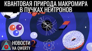 Черви-солдаты. Гемолимфа насекомых и кислород. Нейтроны и квантовая природа. Новости QWERTY №309