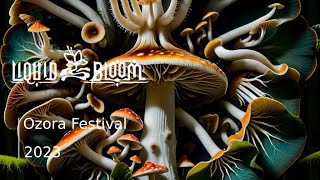 Liquid Bloom DJ Set @ Ozora AMBYSS Stage 2023