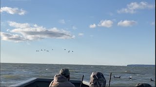 Duck Hunting - Maryland Sea Duck Hunting - Sea Duck Hunting - Pitboss Waterfowl Day 8 of 60 2022