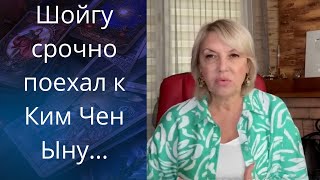 💣💰  Зачем Шойгу срочно поехал к Ким Чен Ыну... ❗❓❓      Елена Бюн